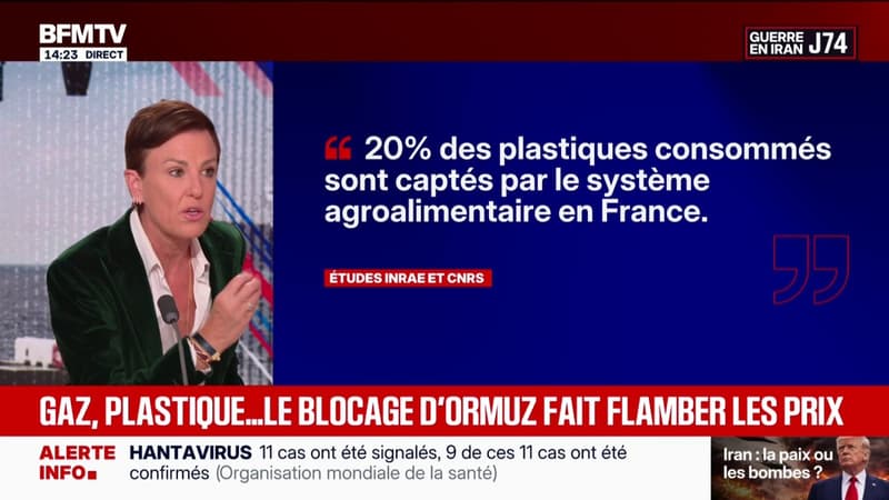 Gaz, plastique...Le blocage du détroit d'Ormuz fait flamber les prix