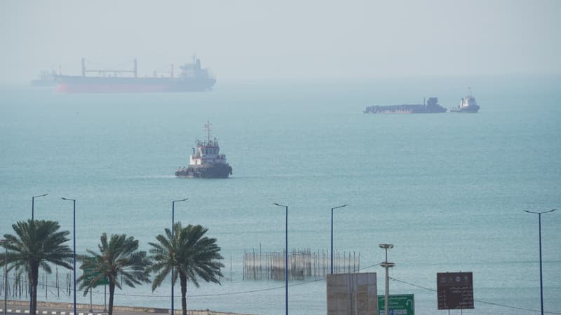 Leur nombre a baissé de 18% depuis les premières frappes américano-israéliennes sur l'Iran: après deux mois de guerre, 913 bateaux commerciaux sont encore recensés dans le Golfe