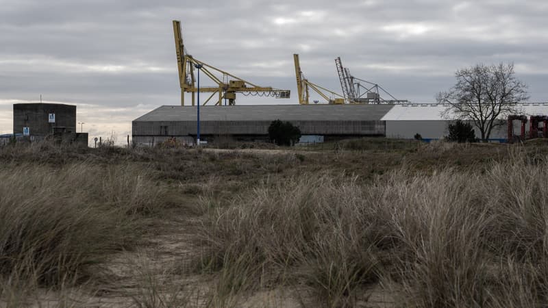 10.000 tonnes de poisson par an: la préfecture de Gironde donne son feu vert pour la toute première mégaferme à saumons de France, malgré l'opposition des ONG et de la ministre de la Transition écologique
