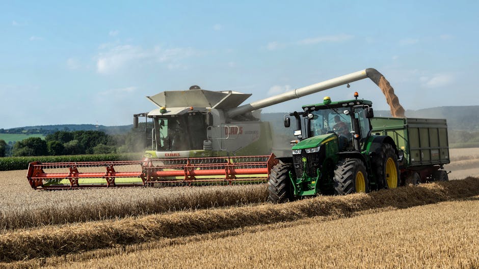 43 % des agriculteurs restent sous le Smic en moyenne pendant dix ans