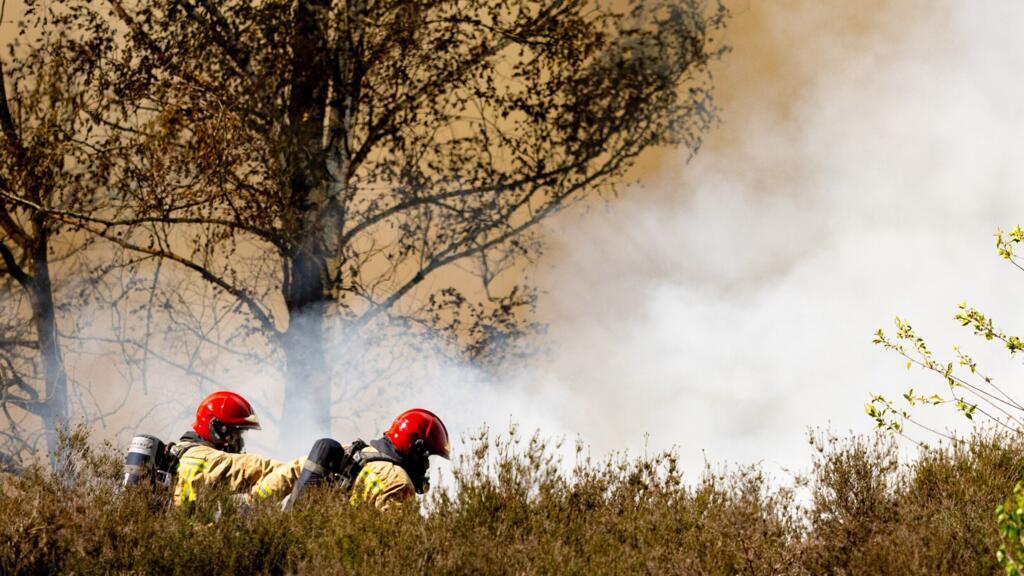 Pays-Bas: des feux de forêt hors normes poussent le pays à demander l'aide européenne
