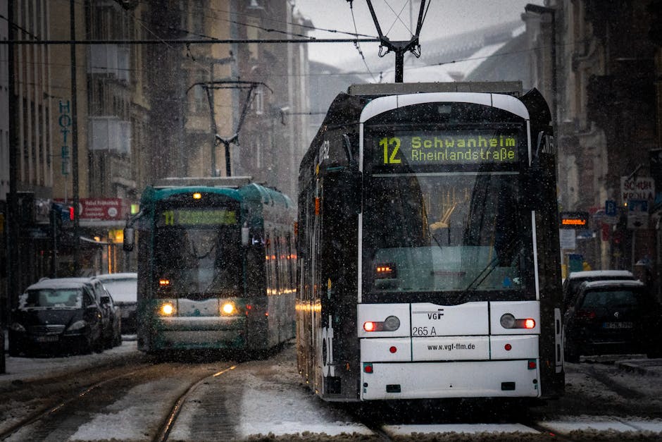 Neige en Seine-Maritime. Transports, circulation... revivez la journée de ce lundi hivernal - Actu.fr
