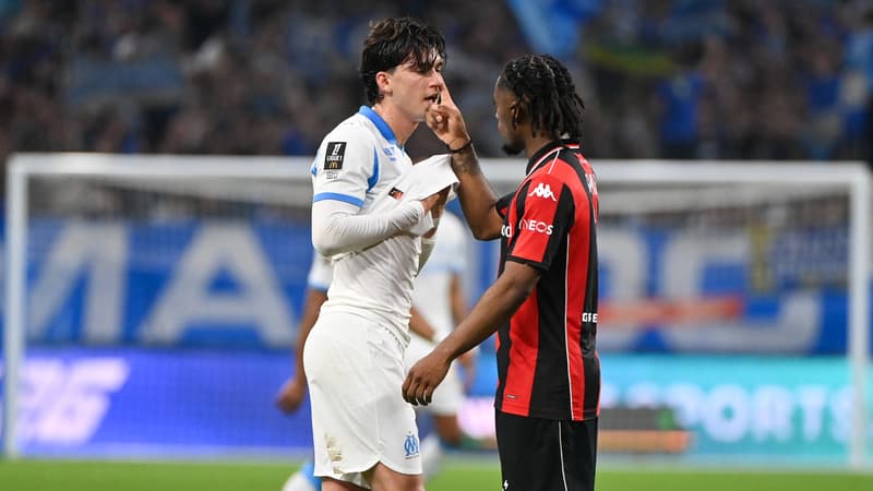 OM-Nice: