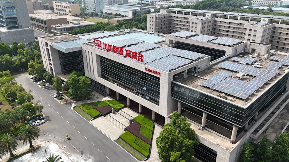 Les exportations de panneaux solaires de la Chine battent des records