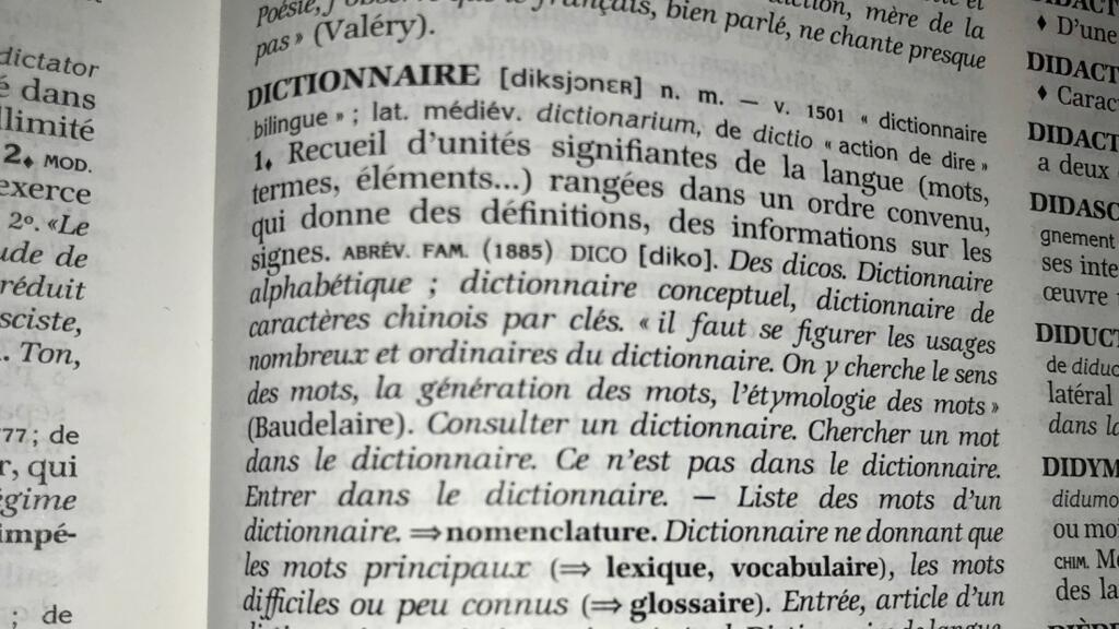 «Bouiner», «charo», «prompter»: le dictionnaire Petit Robert ajoute 150 mots dans son édition 2027