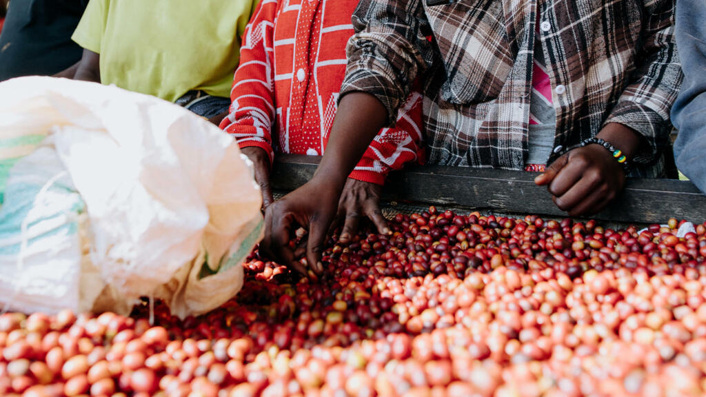 Pour l'Afrique du Sud et le Rwanda, le «tarif douanier zéro» chinois est une opportunité sous conditions