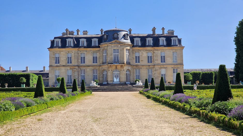 Solaire dans les champs : les mirages de la ruée vers l'or