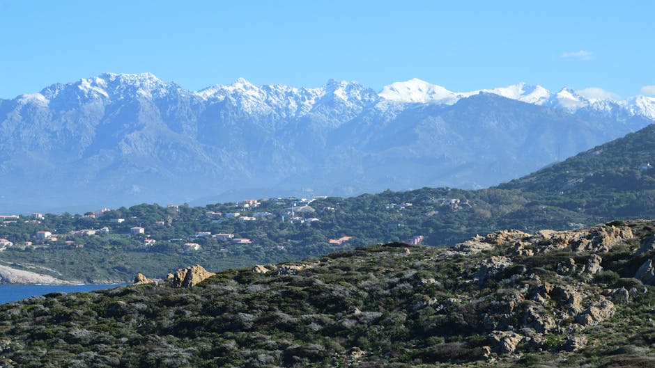 Météo et trafic aérien : Air Corsica adapte son programme du 12 février - Corse Net Infos