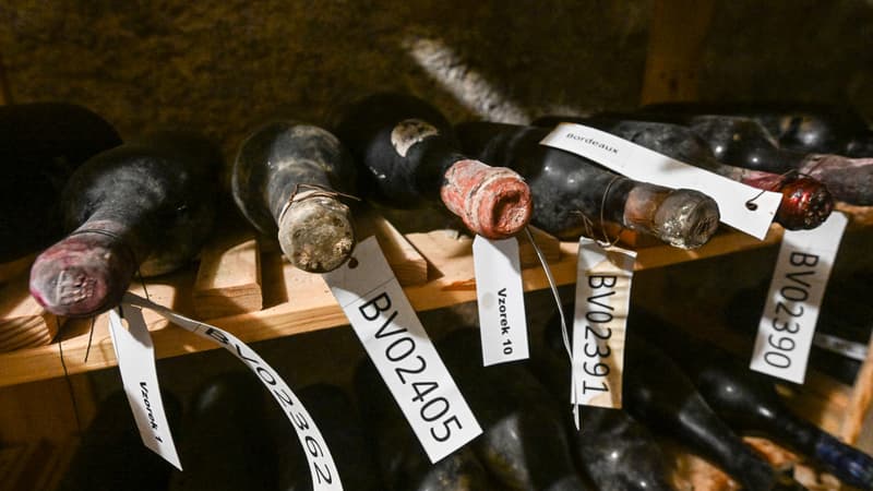 5 millions de dollars dormaient sous le plancher d'une chapelle: comment le domaine français Château d'Yquem a redonné vie à des bouteilles vieilles de 130 ans découvertes par hasard