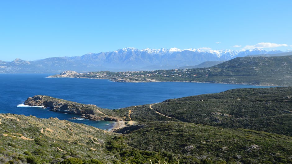 Météo et trafic aérien : Air Corsica adapte son programme du 12 février - Corse Net Infos