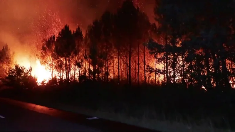 71% des sinistres indemnisés partiellement ou totalement: le coût des incendies en Gironde, dans les Landes et dans le Var cet été évalué à 563 millions d'euros