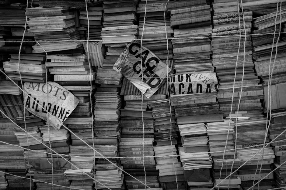 Dessin, moustique, abricot… Ces mots de français d’origine étrangère