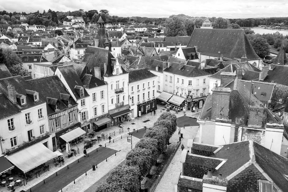 Municipales 2026 : le taux de participation en Centre-Val de Loire est de 21,31% à 12h00 - France 3 Régions