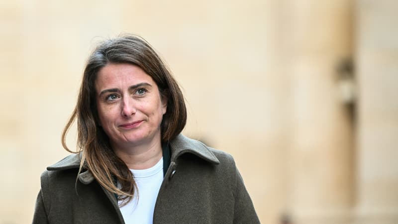 Pour faire face aux fortes chaleurs ou aux inondations, Marine Tondelier propose de créer un