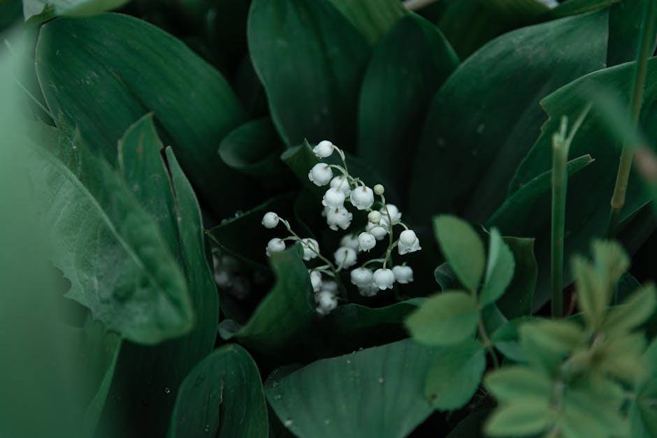 Éditorial. 1er-Mai : des épines dans le muguet