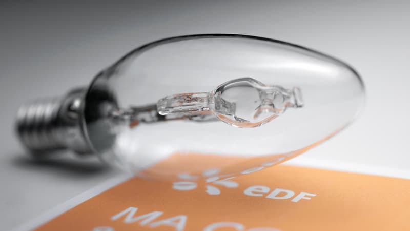 Plus de 6.000 foyers vont être tirés au sort: EDF va expérimenter des nouvelles grilles tarifaires qui doivent inciter les ménages à décaler leur consommation d'électricité lors des pics de demande