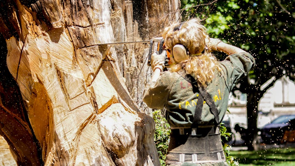 « Massacre à la tronçonneuse » : des arbres bicentenaires abattus abritaient un scarabée protégé