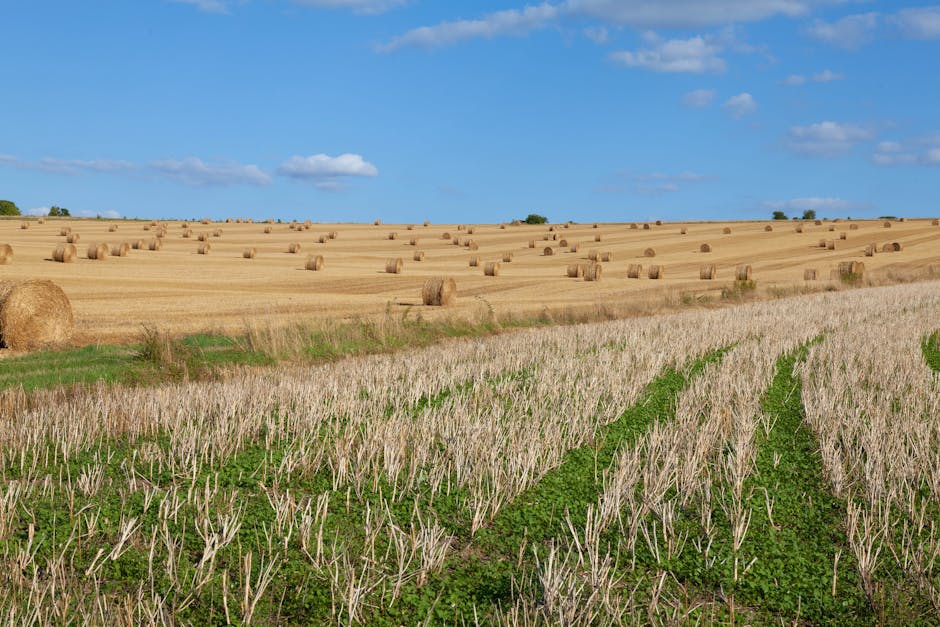 Dans les Pays de la Loire, la formation agricole bat le pavé pour plus de moyens - Centre Inffo