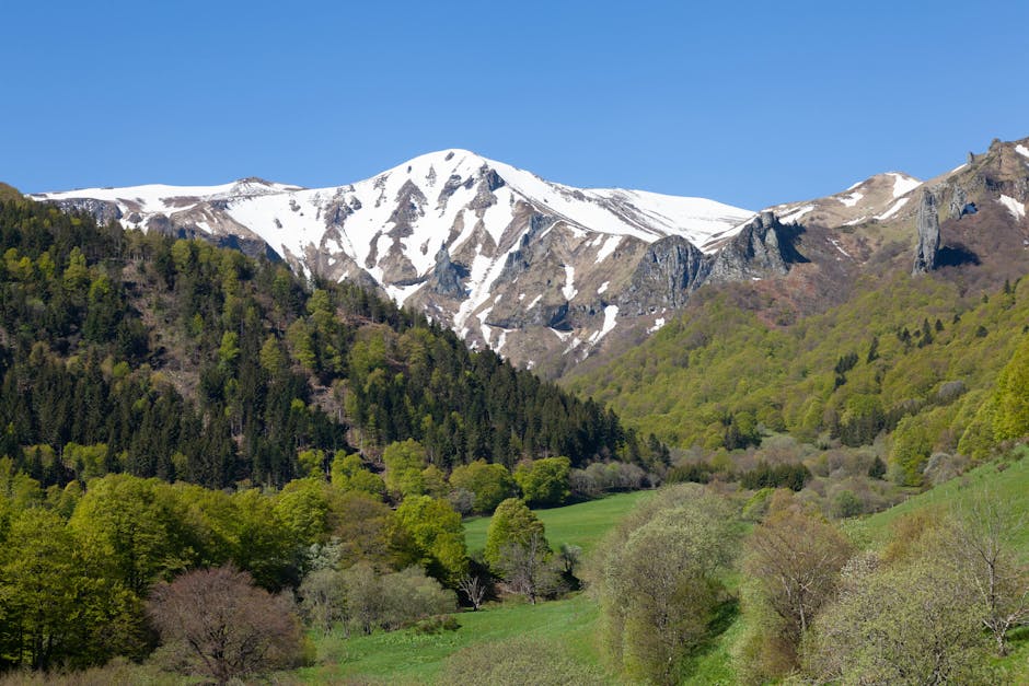 9 MARS AU 4 AVRIL 2026 : MOIS DE L’EMPLOI PUBLIC EN AUVERGNE-RHÔNE-ALPES À LA DÉCOUVERTE DES SERVICES PUBLICS QUI RECRUTENT - prefectures-regions.gouv.fr