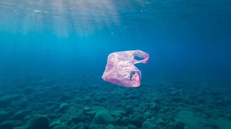 Il s'appelle Mr Turbino, il est sans moteur et ne perturbe pas la vie marine: le concours Lépine récompense un aspirateur sous-marin de déchets et de microplastiques