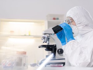 Hantavirus : toujours pas de vaccin, 40 % de décès, des recherches limitées… le monde en quête d’un remède