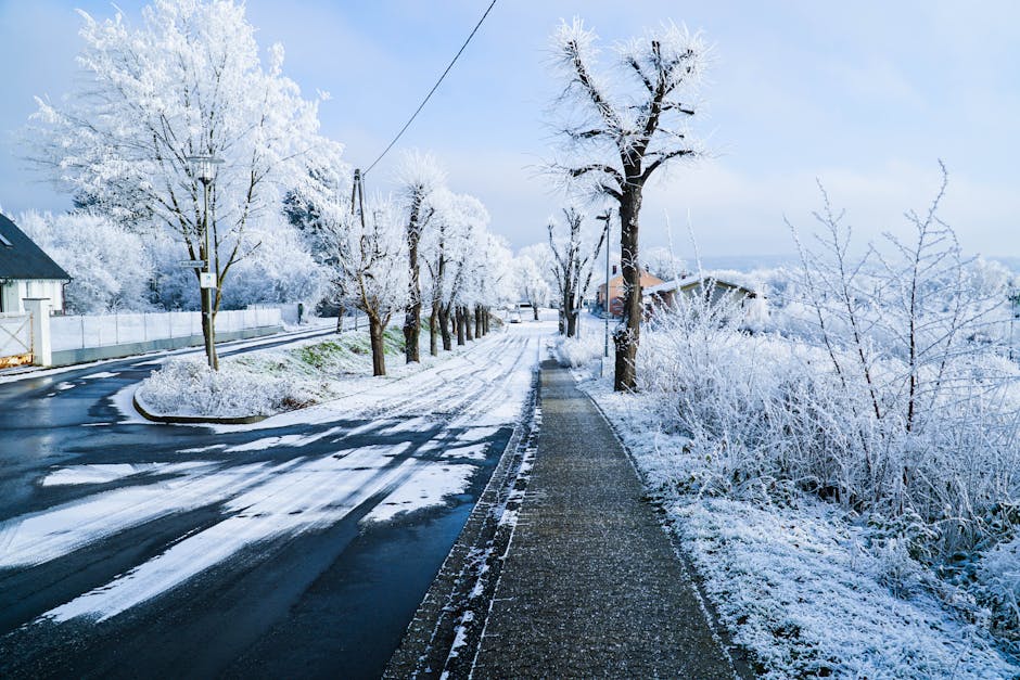 [BILAN DU 5 JANVIER] - GELEES ET NOUVELLES CHUTES DE NEIGE SUR LE CENTRE - VAL DE LOIRE - Météo Centre