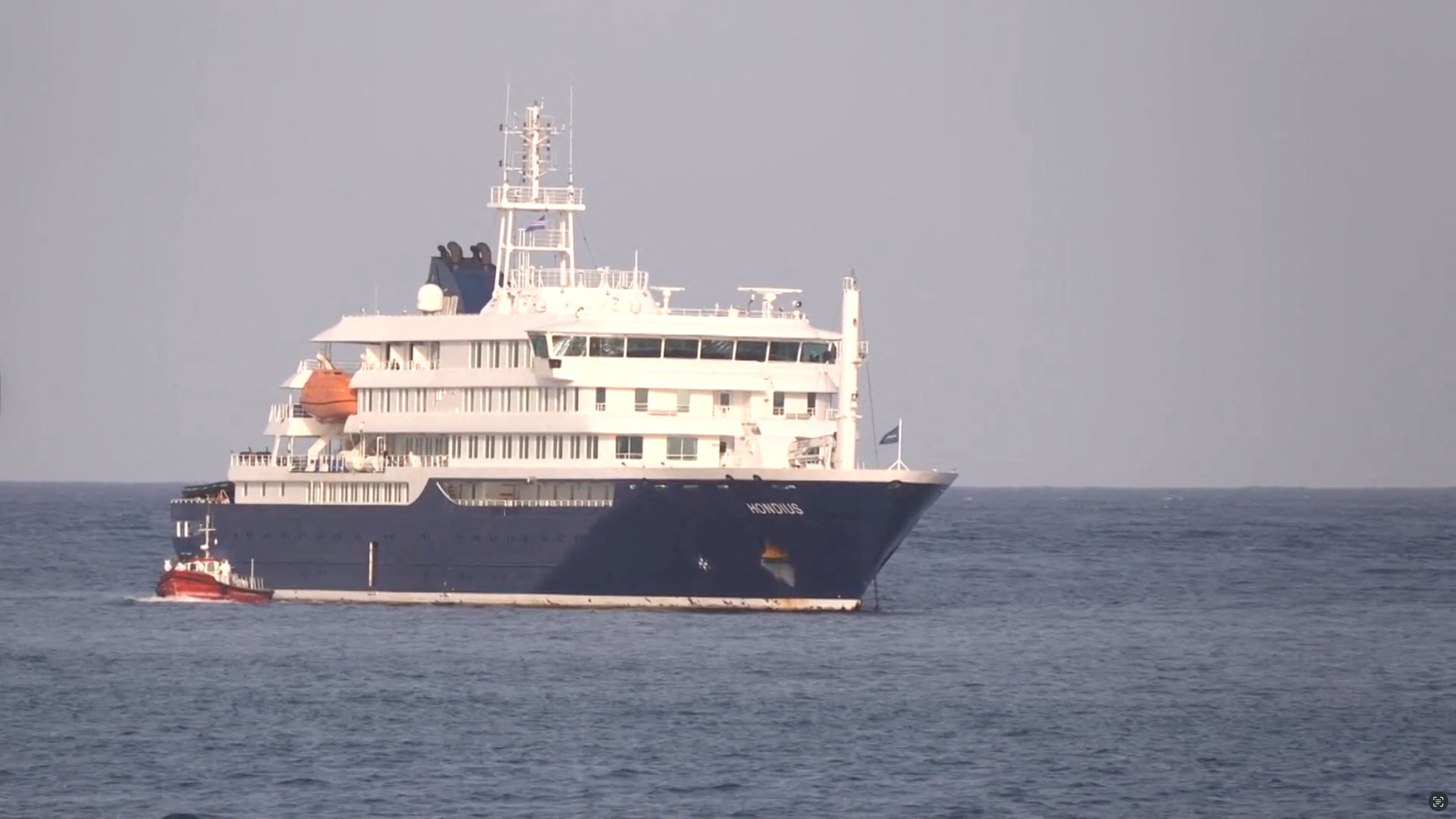 Hantavirus : un passager du bateau de croisière infecté par la souche des Andes, transmissible entre humains