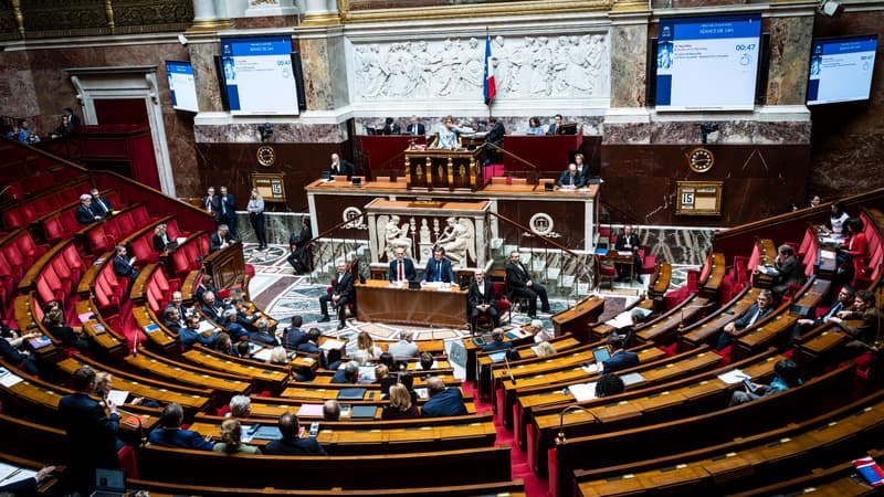 Leur diplôme n'était plus reconnu depuis le Brexit: l'Assemblée nationale adopte définitivement une loi qui réhabilite les médecins formés au Royaume-Uni pour qu'ils exercent en France