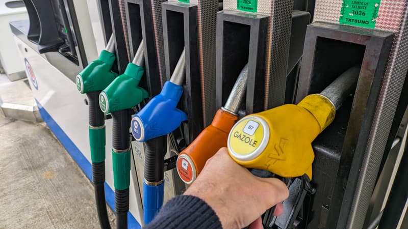 Un formulaire sécurisé et des contrôles avec les assureurs... Comment Bercy va vérifier que les demandeurs ont bien droit à l'aide de 50 euros sur le carburant