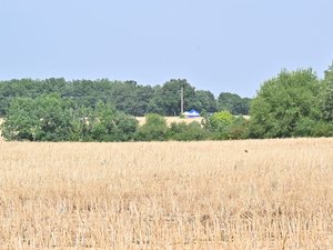 Affaire Jubillar : les restes du corps de Delphine dispersés ? Le monticule de terre