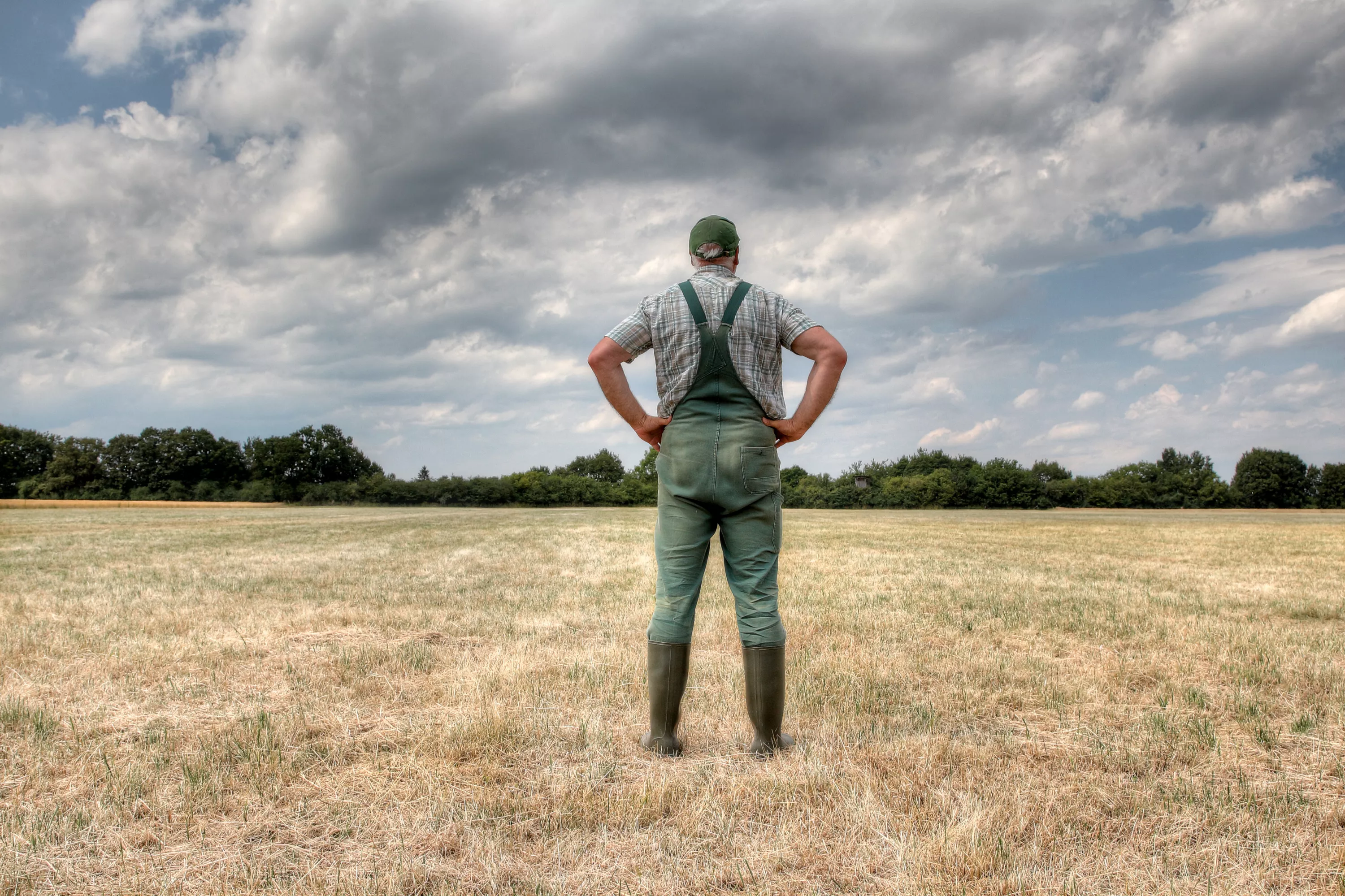 Agriculture sinistrée, chantiers à l’arrêt… Le lourd impact économique de l’été caniculaire estimé par l’Insee