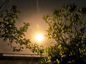 Alerte canicule : 80 départements en vigilance orange dès demain… la journée de jeudi s’annonce particulièrement chaude