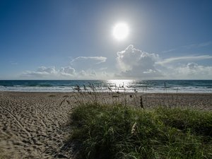 Alerte canicule : la vague de chaleur s’intensifie, 60 départements en vigilance orange pour le début du week-end