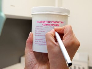 APPEL A TÉMOIGNAGES Vous avez donné l’un de vos organes ou vous êtes en attente d’une greffe ? Racontez-nous