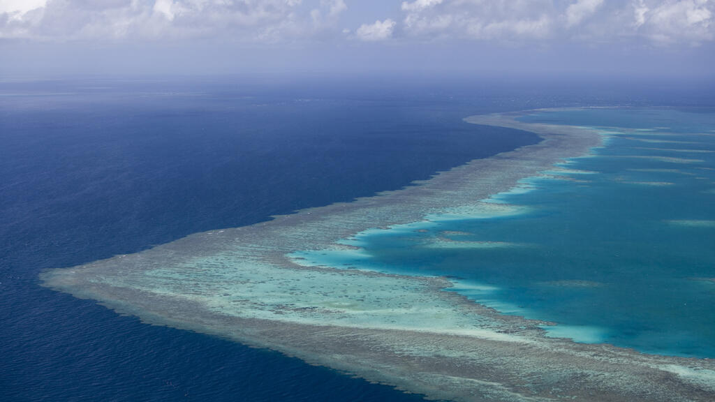 Australie: la Grande Barrière de corail pas «en péril» mais dans un état préoccupant