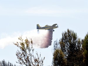 C’est le double de 2025 à la même période : déjà 25 000 hectares ravagés par les flammes en France, annonce le gouvernement