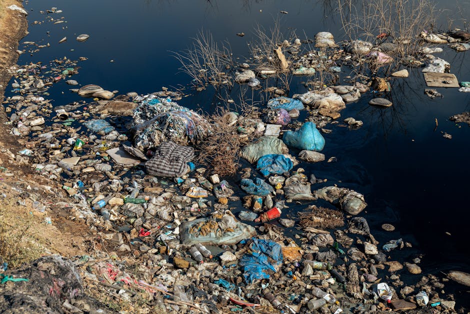 Pollution, effluents agricoles, stations d’épuration… Le gouvernement présente une feuille de route pour mieux protéger les eaux littorales