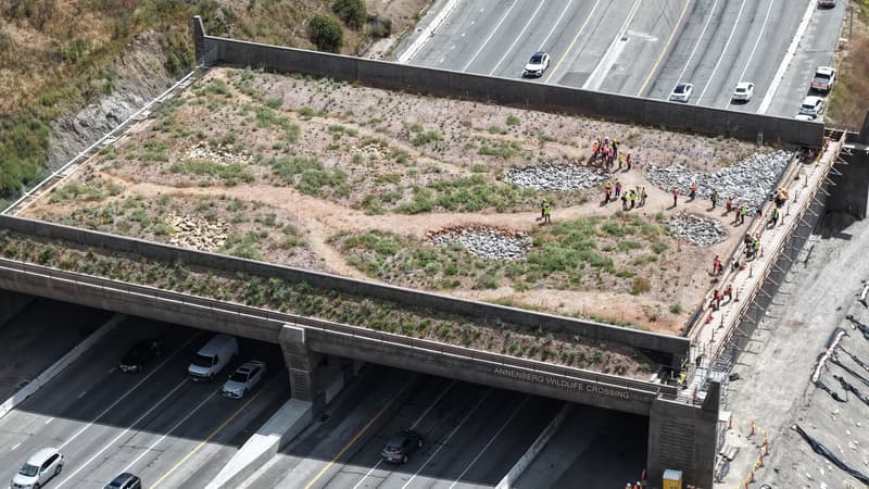 Le ministre des Transports de Trump avait fustigé un pont coûteux