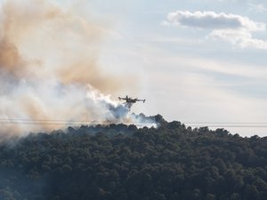 Canadair, dragons, Dash, camion-citerne… Sur terre ou dans les airs, avec quels engins les pompiers luttent-ils contre les feux de forêts ?