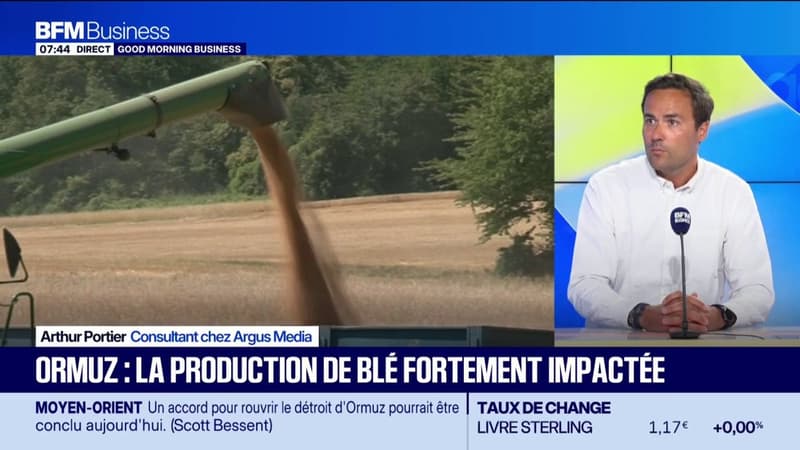 Canicule : comment se porte le marché des récoltes ?