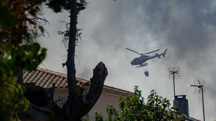 Canicule : la France suffoque, Paris et une vingtaine de départements placés en vigilance rouge
