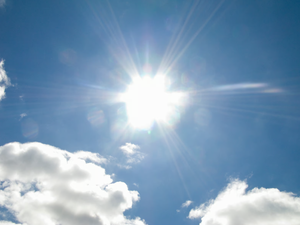 Canicule : 