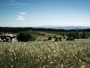 Canicule : pourquoi les températures montent-elles autant dans le centre de la France et beaucoup moins en région Occitanie ?