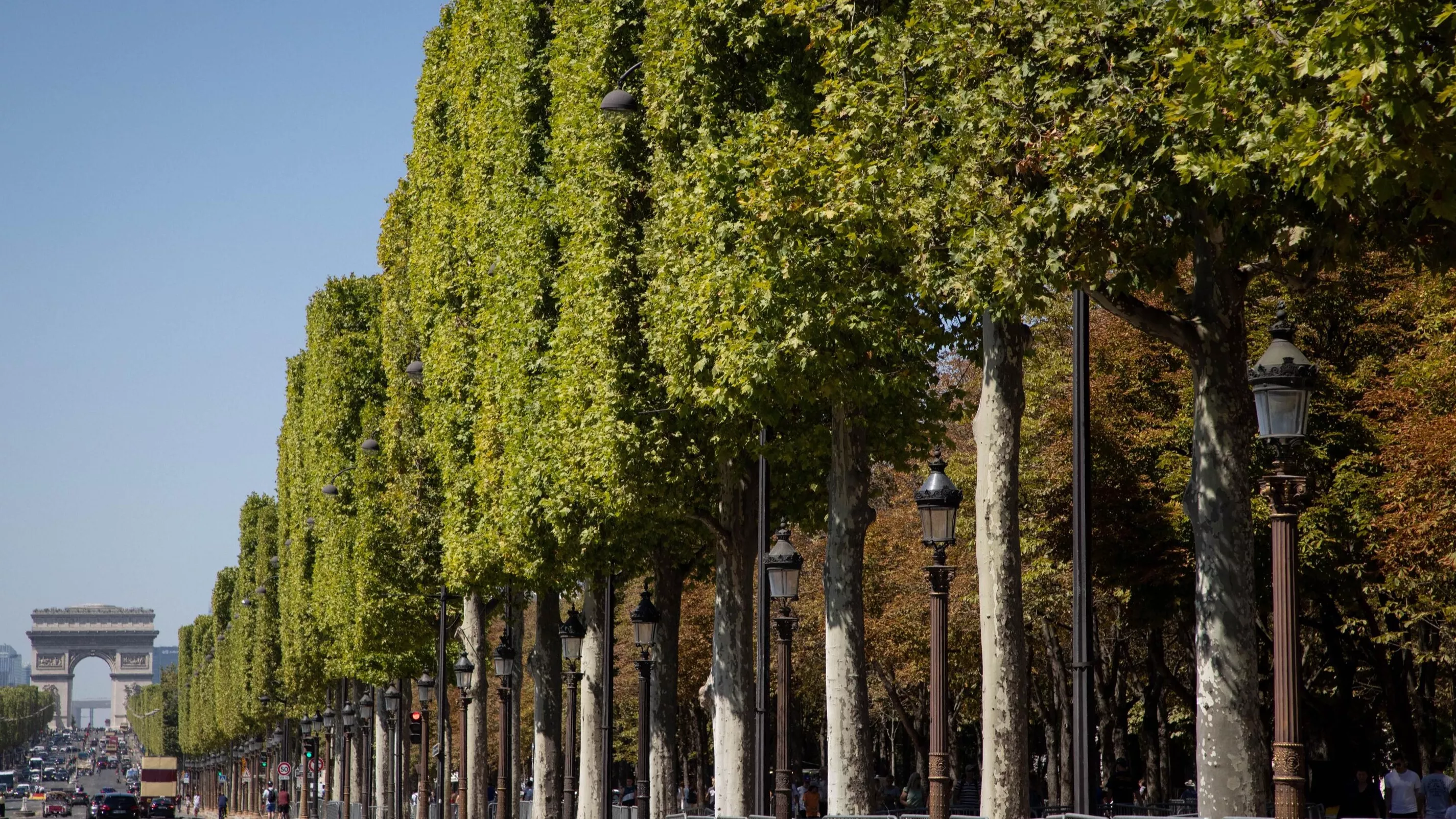 Canicule : «Pourquoi la végétalisation de Paris est inadaptée aux habitants»