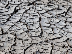Canicule, sécheresse, incendies… Avec une température moyenne de 24,9 °C, juillet 2026 pulvérise tous les records de chaleur en France