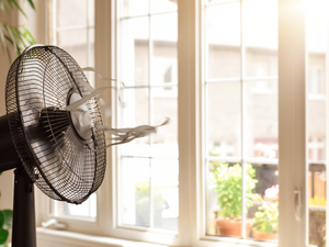 Canicule : vous n’avez pas la clim' ? Voici dix conseils pour faire baisser la température de votre logement sans vous ruiner