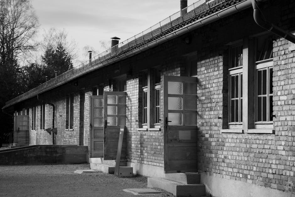 Le regard des ombres : comment le Sud-Ouest découvrait l’horreur des camps de concentration