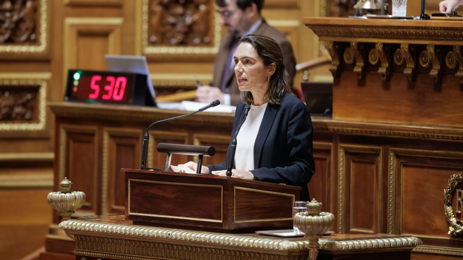 Christine Lavarde, nouvelle rapporteur du Budget au Sénat : « Il est facile d’en appeler au patriotisme quand on a soi-même alourdi la facture »