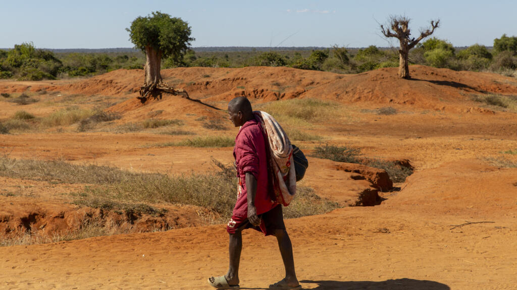 COP 17: «restaurer l'espoir» dans la lutte contre la désertification