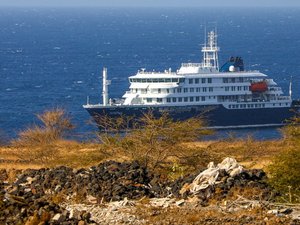 Hantavirus sur un navire de croisière : pourquoi les passagers du bateau doivent absolument être évacués ce dimanche